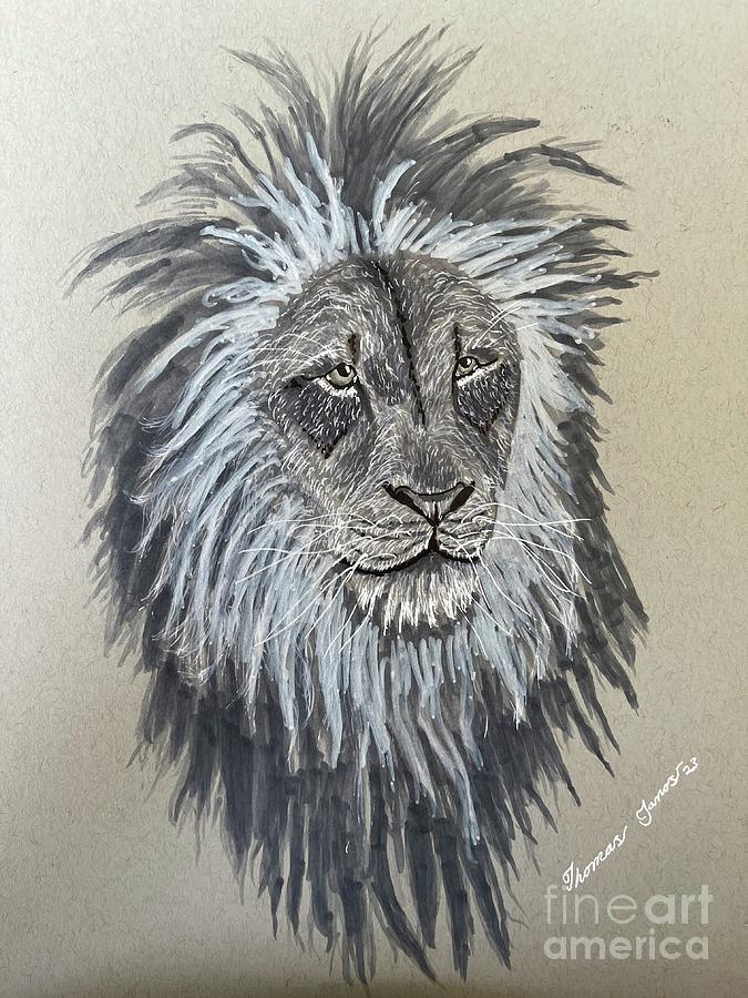 Old Lion Drawing by Thomas Janos