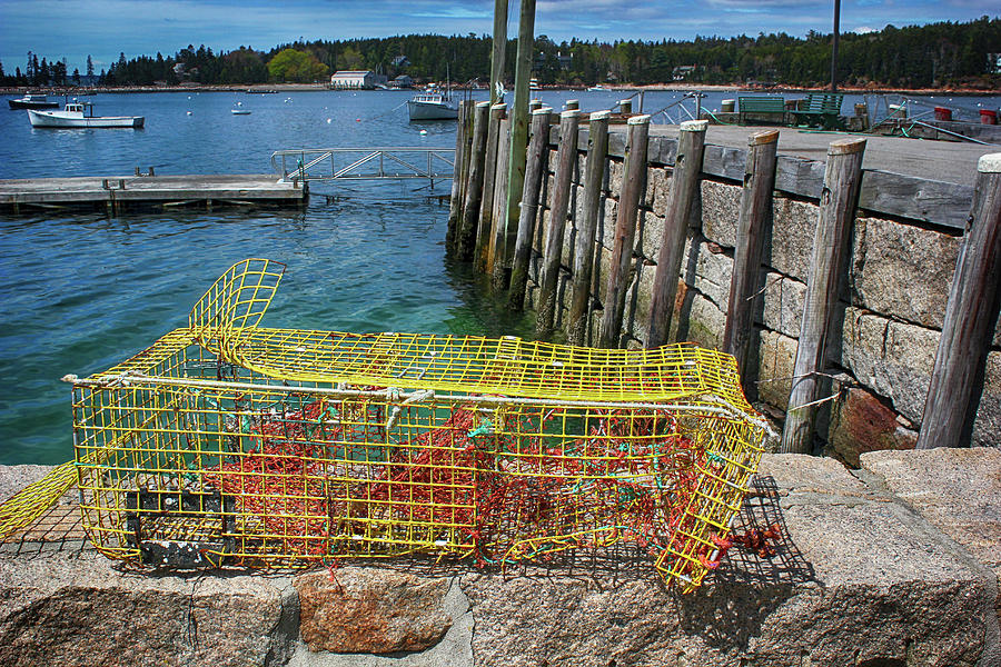 Old Lobster Trap Seal Harbor Maine 050222 by Mary Bedy