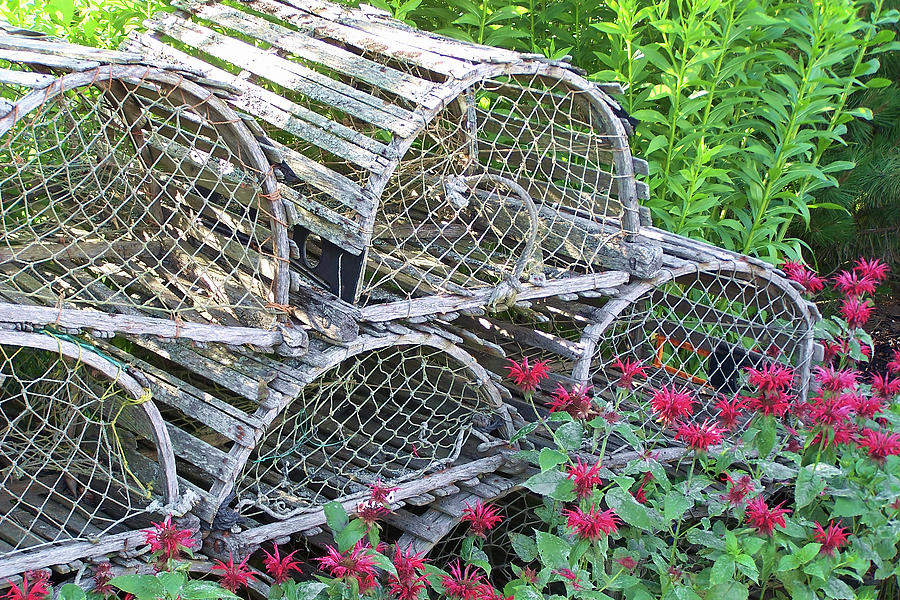 Old Lobster Traps Photograph by Jerry Griffin