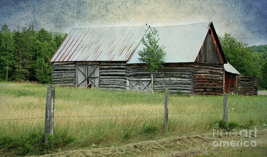 Old Log Barn in the North Country Photograph by Barbara McMahon