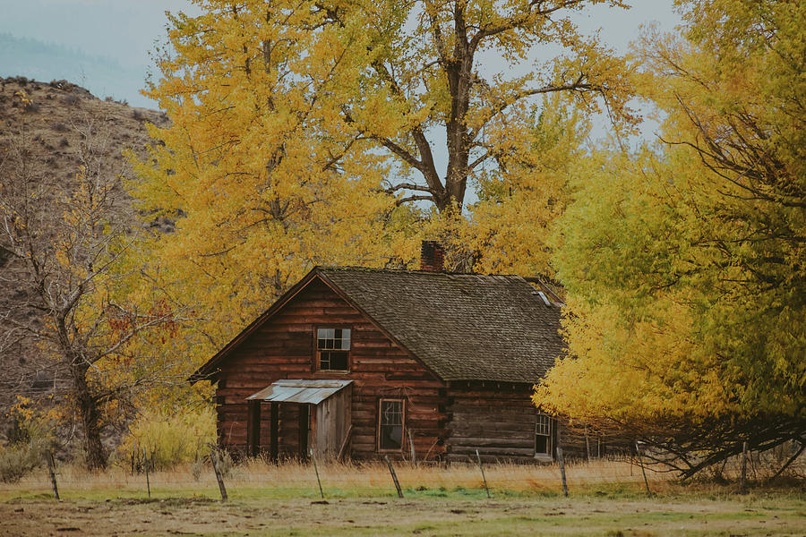 Old Log Cabin In Autumn Photograph By Riley Bradford - Pixels