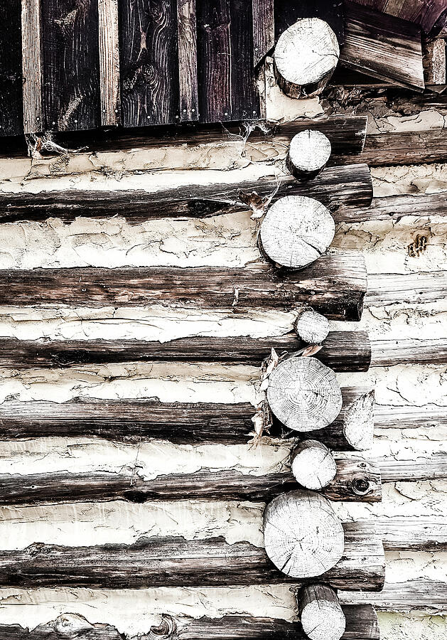 Old Logs And Chinking Photograph