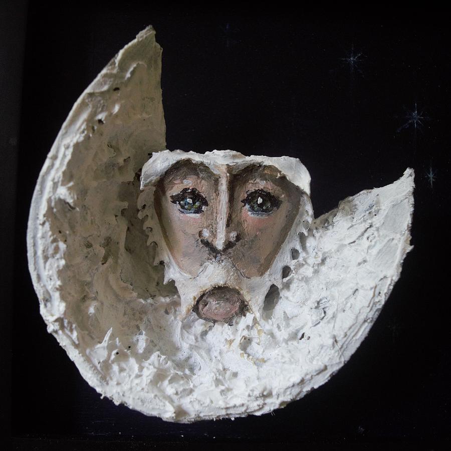 Old Man in the Moon Relief by R  Allen Swezey