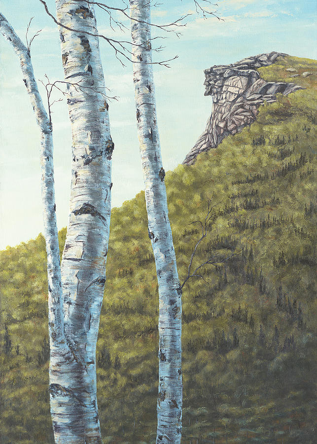 Old Man of the Mountains Painting by Elaine Farmer