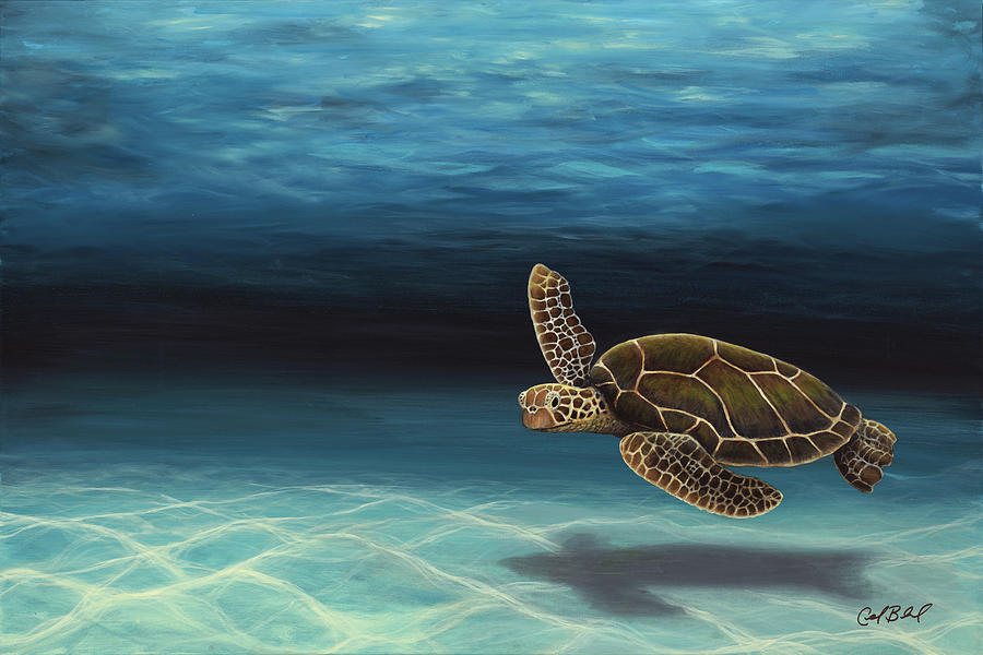 Sea Turtle Painting - Old Man of the Sea by Carolyn Bland Sea Turtle Painting - Old Man of the Sea by Carolyn Bland