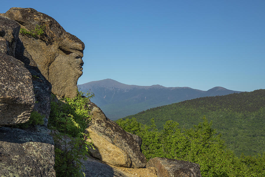 Old Man Sugarloaf Sunny Summer Photograph by White Mountain Images