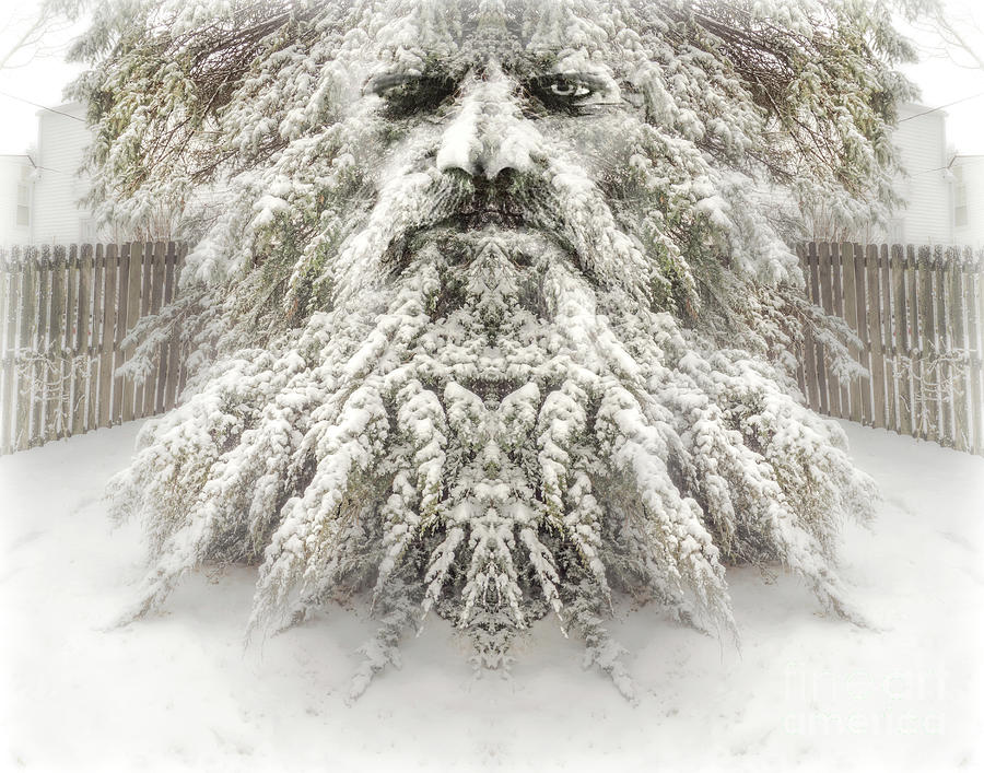 Old Man Winter Photograph by John Anderson