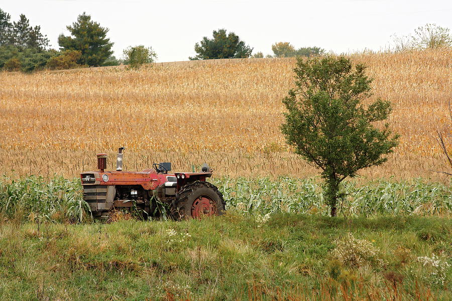 Old Massey Photograph by Lens Art Photography By Larry Trager