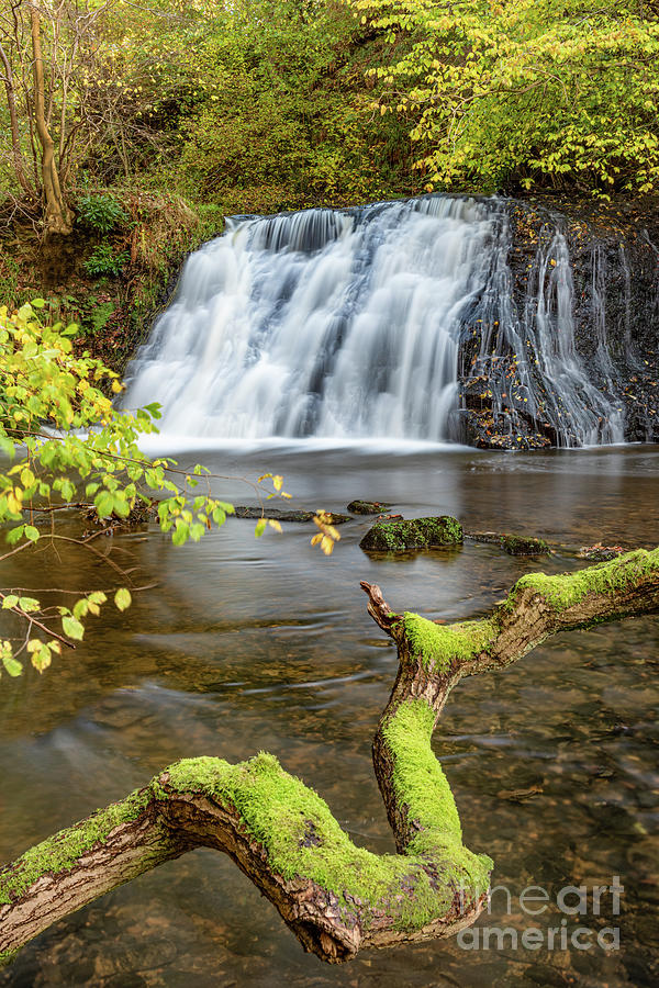 Old Meggison Waterfall Photograph by Richard Burdon