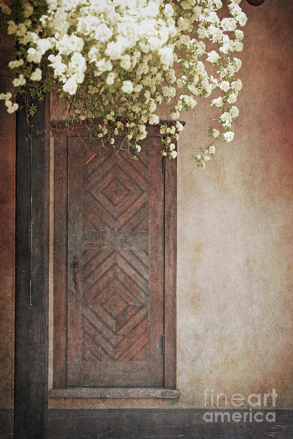 Old Mellow Flora Photograph By Andrea Hazel Fine Art America 4644