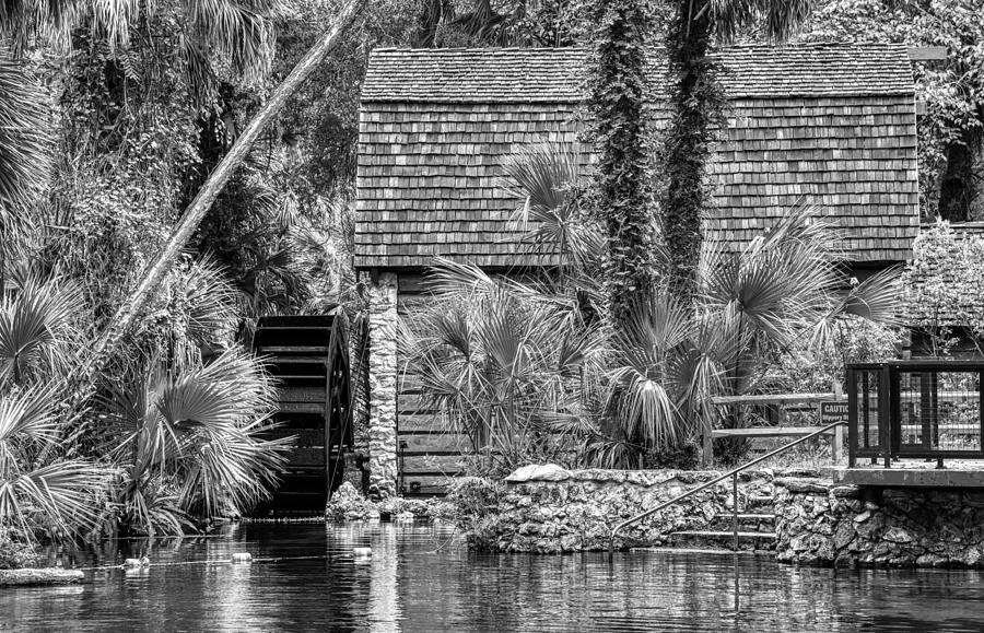 Old Mill At Juniper Springs Photograph by Fred Mays