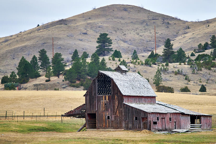 Old Montana Barn Photograph by Paul Freidlund