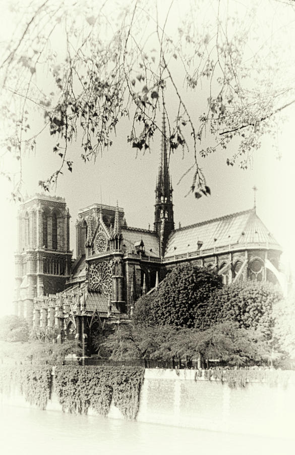 Old Notre Dame Cathedral Photograph by Michael Hope
