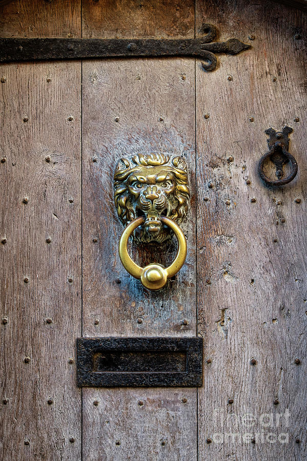 Old Oak Door and Lion Door Knocker Photograph by Tim Gainey