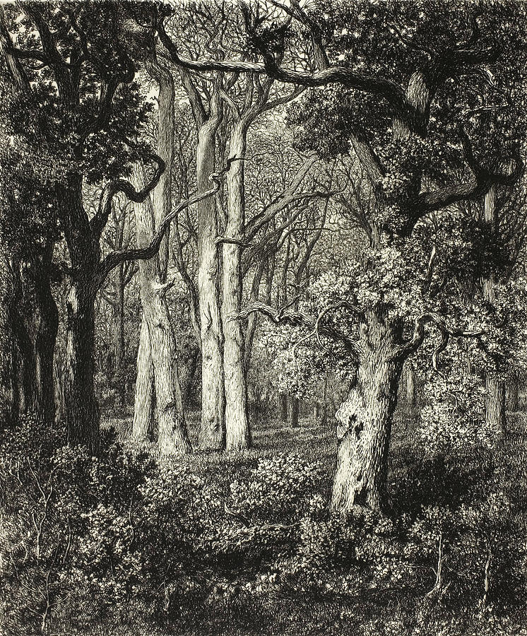 Old Oaks at Bas Breau Relief by Adolphe Martial Potemont