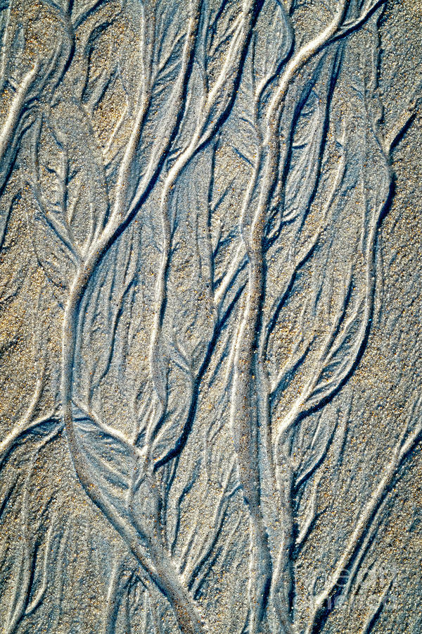 Old Orchard Beach Sand Abstract Photograph by Craig Shaknis