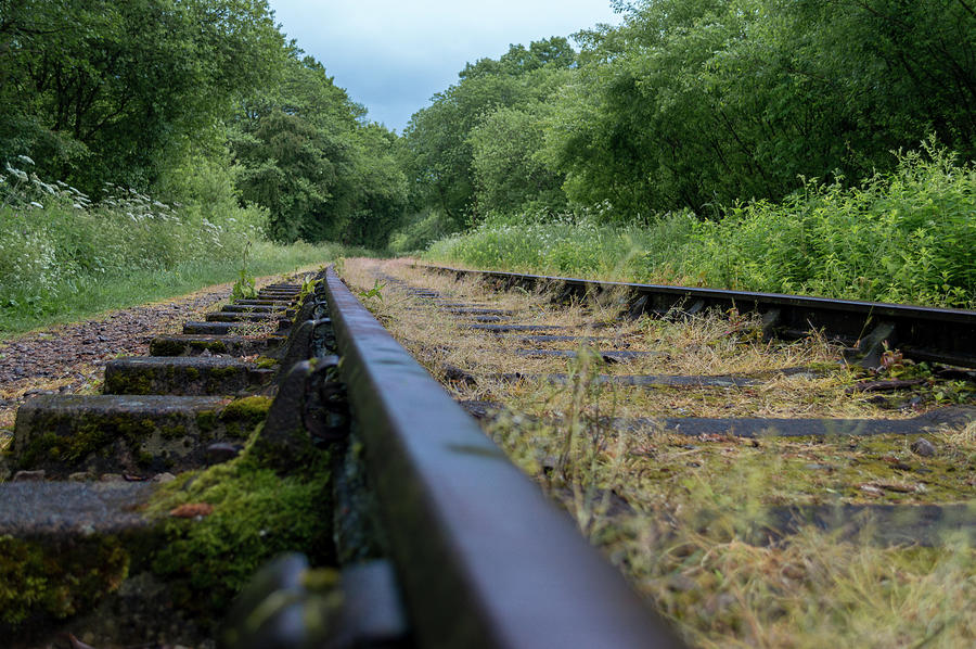 Old overgrown disused railway tracks. Photograph by Rob Thorley - Fine ...