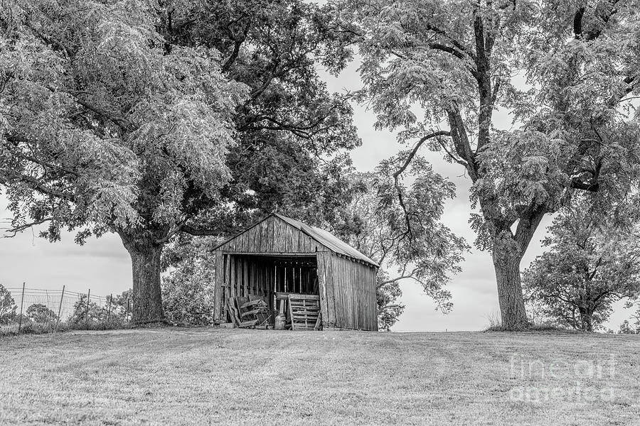 Old Ozarks Country Shed Grayscale Photograph by Jennifer White