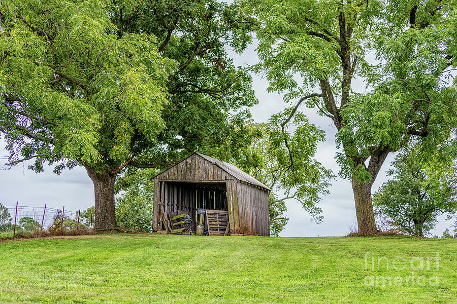 Nature Photograph - Old Ozarks Country Shed by Jennifer White
