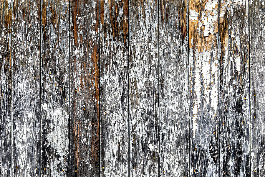 Old Painted Wooden Fence Photograph by SR Green