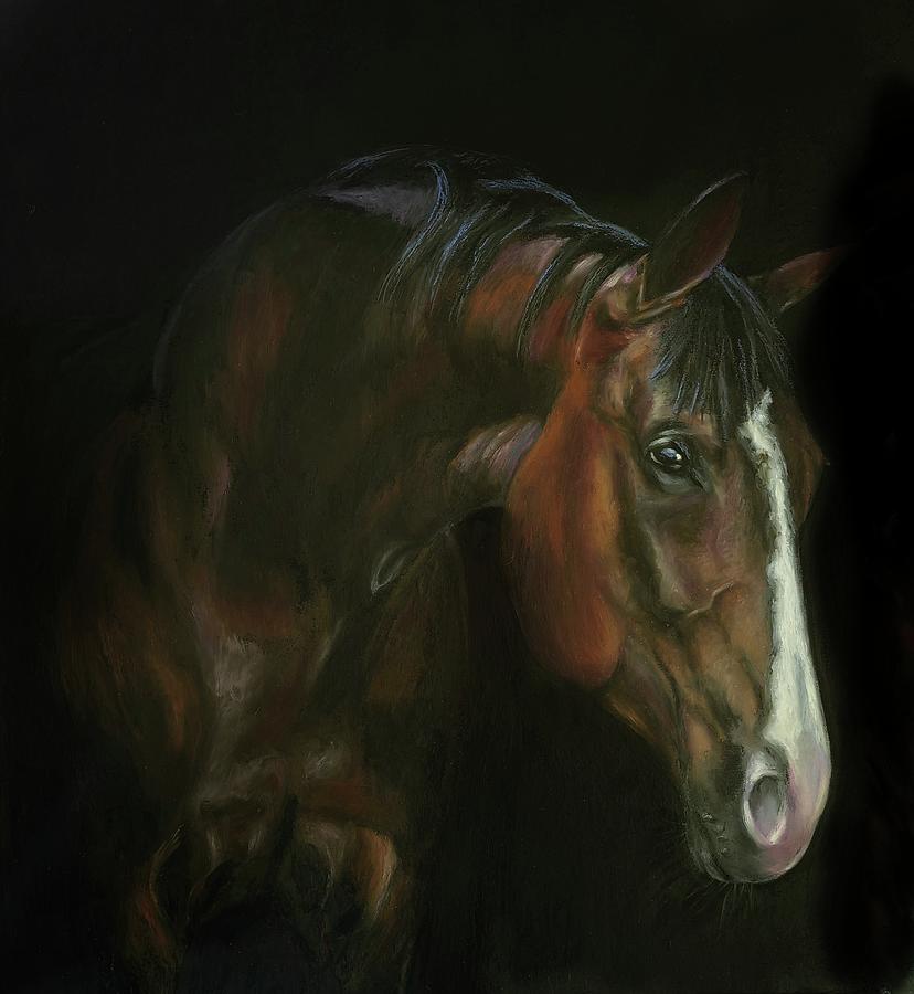 Old Partner Pastel by Sonia Stiplosek - Fine Art America