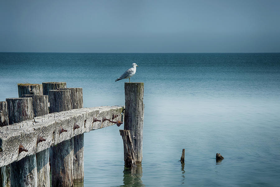 Old Pier Photograph by CR Courson