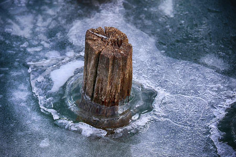 Old Piling in Ice 2 082822 Photograph by Mary Bedy