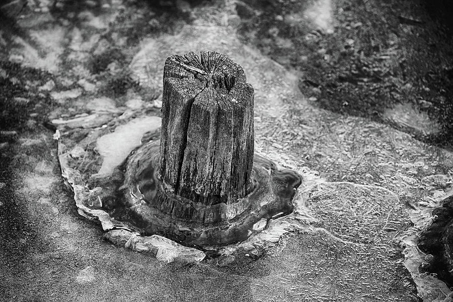 Old Piling in Ice 2 BW 100822 Photograph by Mary Bedy