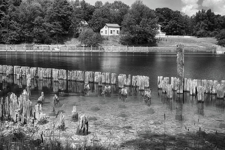 Old Pilings 10 Fayette State Park BW 111622 Photograph by Mary Bedy