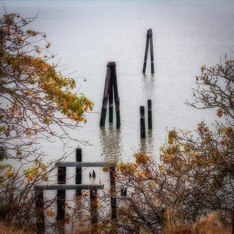 Old pilings at Buckeye Point Photograph by Donald Kinney
