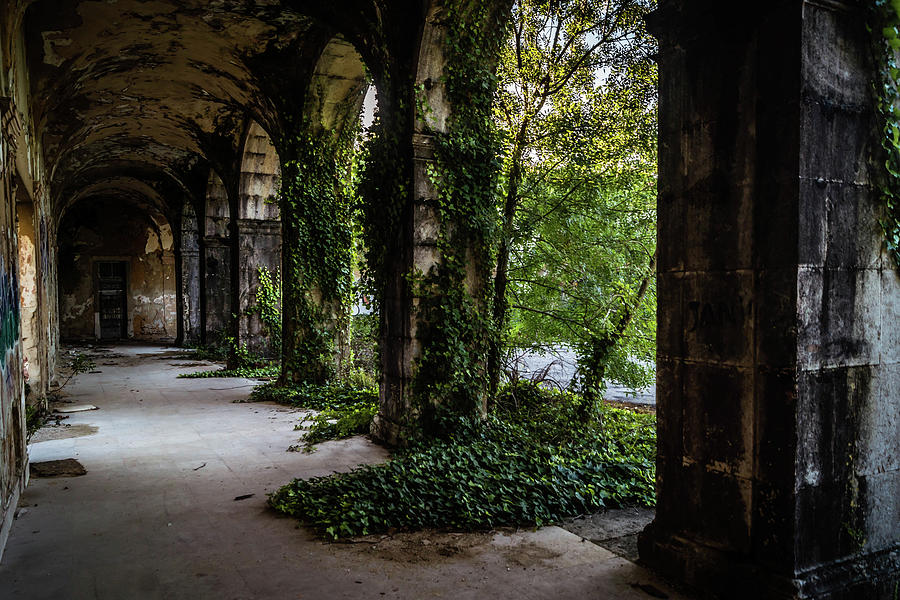 Old Pillars Photograph By Marcio Silva - Fine Art America