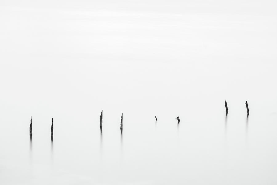 Old Poles in the Sea in Black and White Photograph by Alexios Ntounas