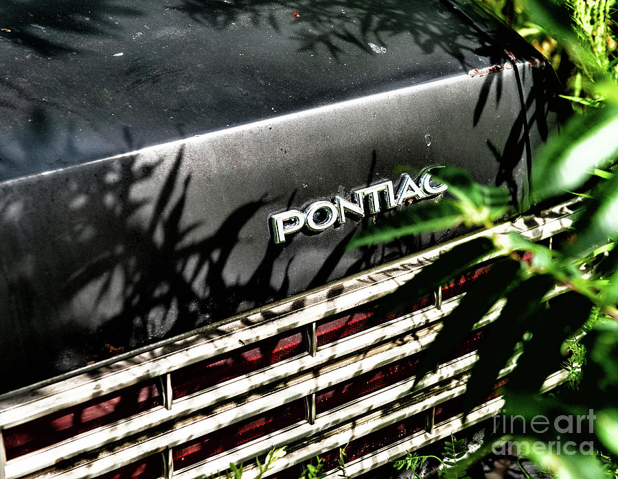 Old Pontiac Car Rusting Away Photograph