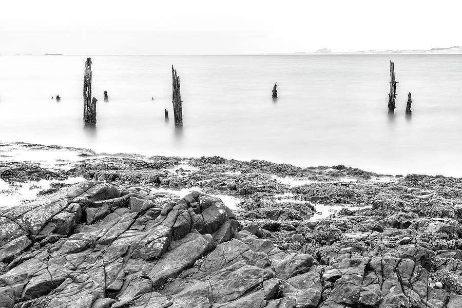 Old Posts and the Rocks - mono - - wide angle view Photograph by John Paul Cullen