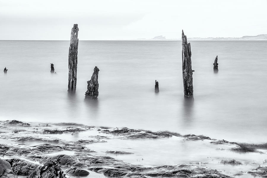 Old Posts and the Rocks - mono - closer view Photograph by John Paul Cullen