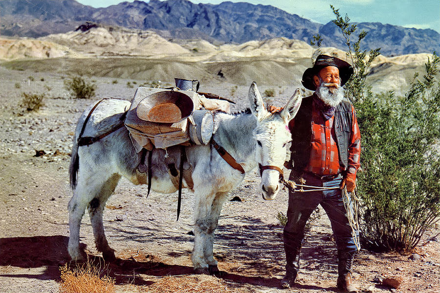 Old Prospector Photograph by Unknown