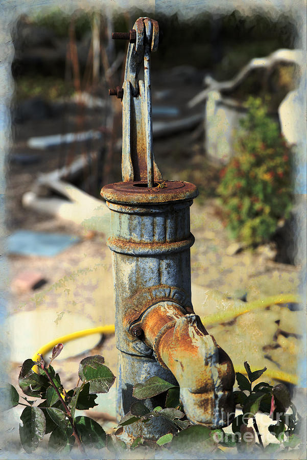 Old Pump in Garden Photograph by Kae Cheatham