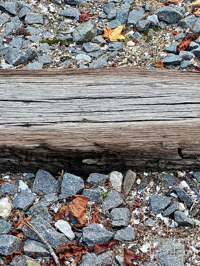 Old Railroad Tie Photograph by CAC Graphics