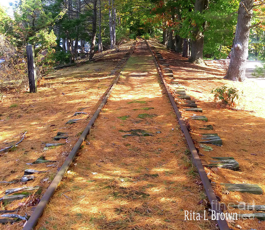 Old Railroad Tracks Photograph by Rita Brown