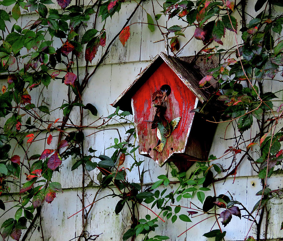 Old Red Abandoned Bird House Photograph by Linda Stern