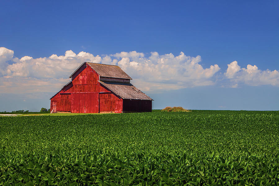 Old Red Barn Photograph by Andrew Soundarajan - Fine Art America