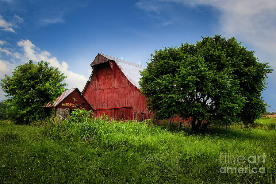 Old Red Barn at Rocky Mount Photograph by Shelia Hunt