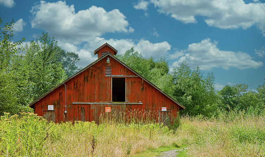 Old Red Barn in the Weeds Photograph by Darryl Brooks