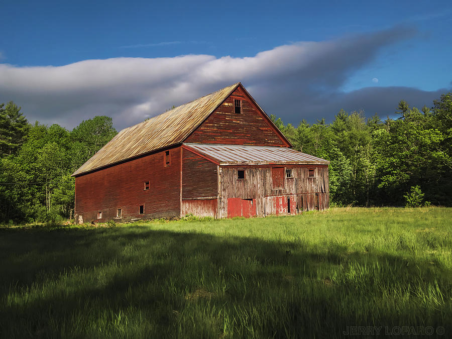 Tree Photograph - Old Red Barn by Jerry LoFaro