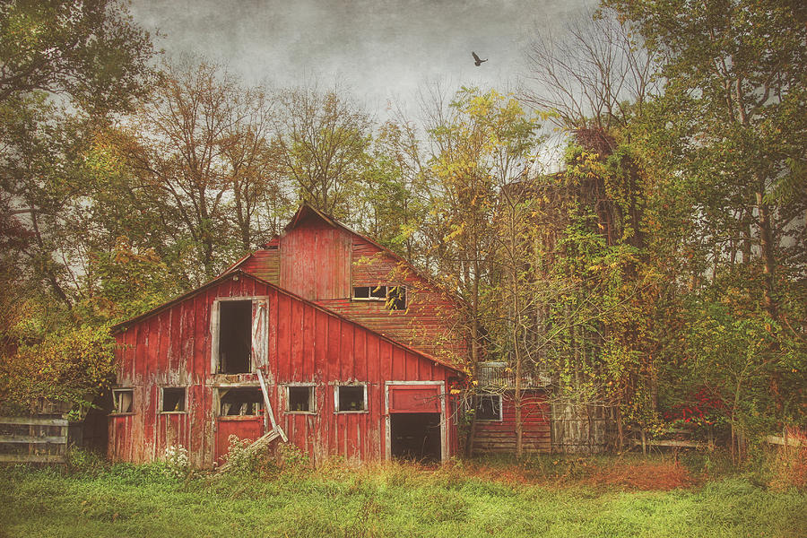 Old Red Barns At Penwell Photograph by Pat Abbott