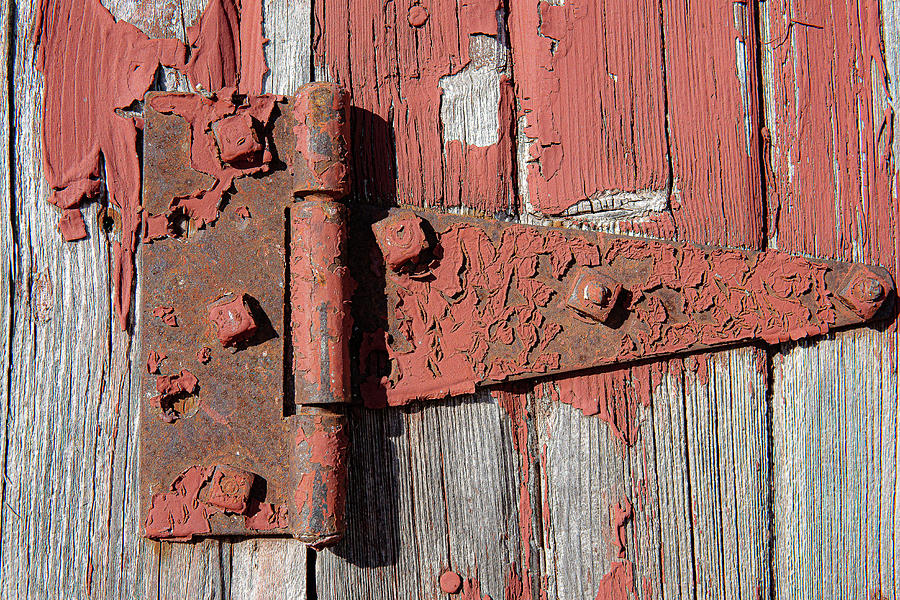 Old Red Door Hinge Photograph by David Morehead