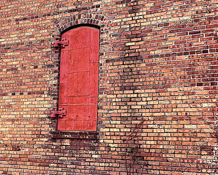 Old Red Door Photograph by Lee Darnell