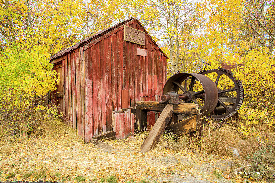Old Red Shed Photograph by Randy Bradley