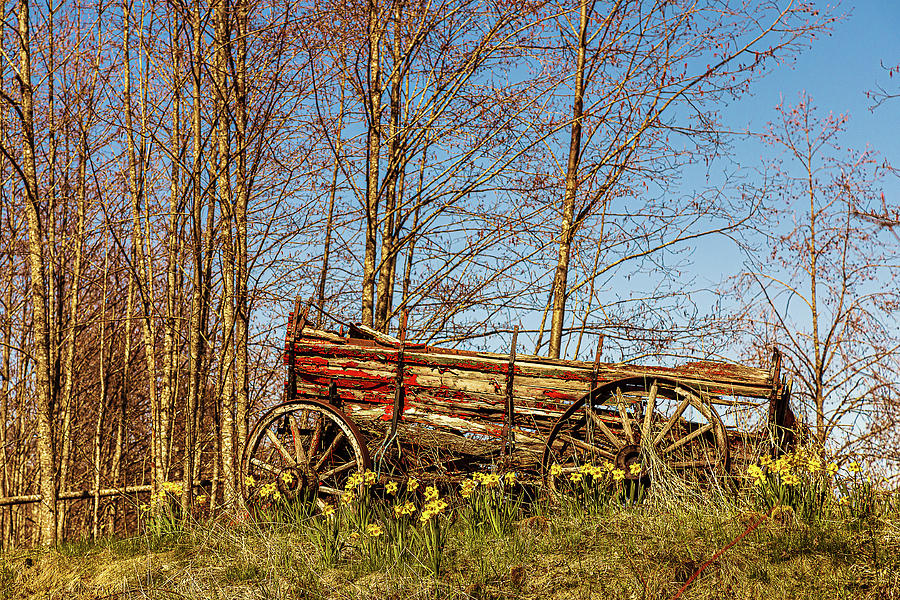 Old Red Wagon Photograph by Claude Dalley