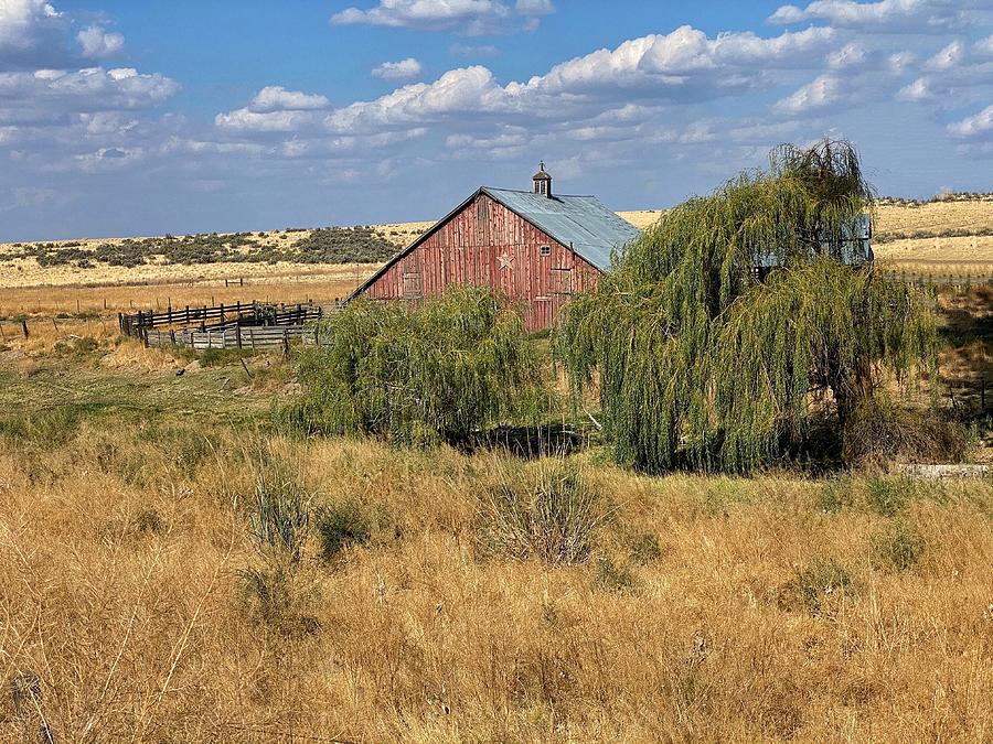 Old Rocklyn Barn  Photograph by Jerry Abbott